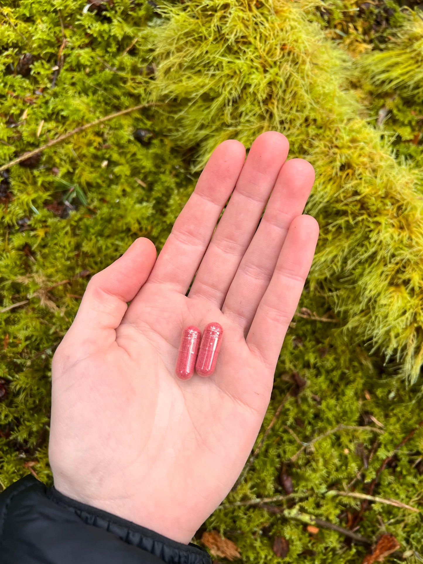 Amanita Muscaria Microdose Capsules