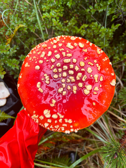 Lunar: Amanita Muscaria + Reishi Sleep Capsules