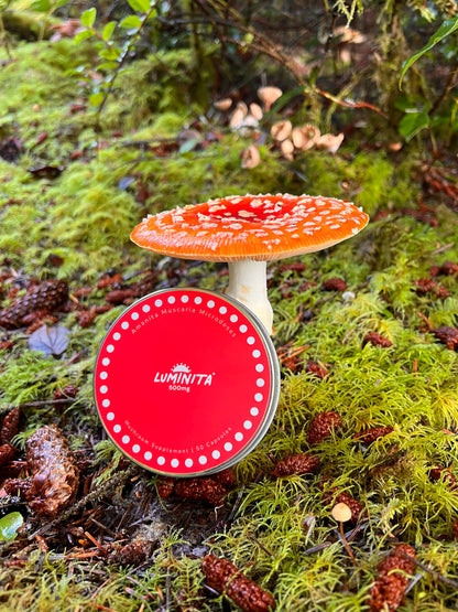 Amanita Muscaria Microdose Capsules